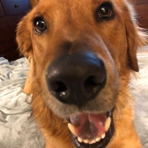 Meet your Posher, Kyle